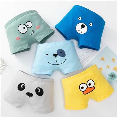 Custom Carton Boys Boxer Underwear Factory